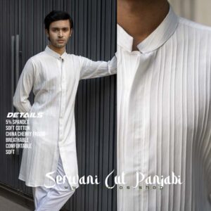 Sherwani Cut Punjabi White