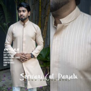 Sherwani Cut Punjabi Cream