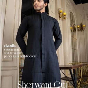 Sherwani cut panjabi 006 (black)